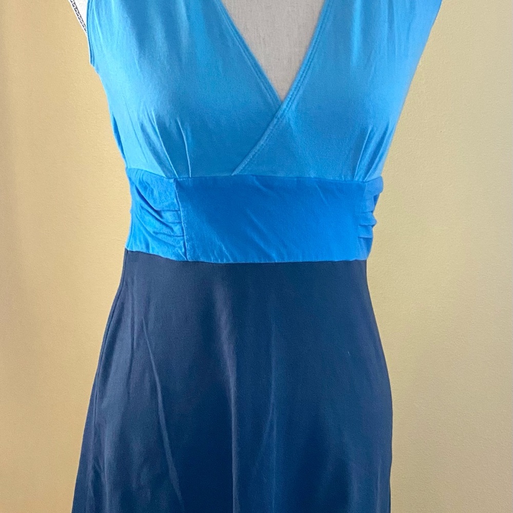 Patagonia brilliant blue fitted porch dress Sz S